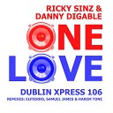 Ricky Sinz feat Danny Digable - One Love Elpierro Remix