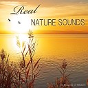 S ounds of N ature - Mindfulness Rain