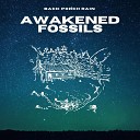 Awakened Fossils - Back Porch Rain