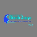 Okimik Anuya - Fx 432 Hz Beach Rain Move