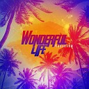 Макинтош - Wonderful life