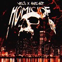 Wels ANELARE - HOMICIDE