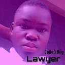 Boy coded - Lawyer