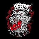 Perro Viejo Punk - P U T A T V