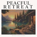 Soothing Music - Reflect and Renew