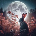 Aeri Nicol - Midnight Instrumental