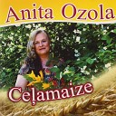 Anita Ozola - Uzsmaidi saulei