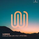 slowbrew feat spyritone - Everlasting Love