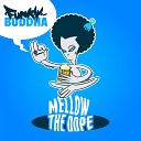 Funky Buddha - What the Spirituals Say