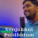 Adhil Music - Nenjukkul Peidhidum