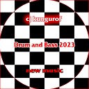 cj kungurof - Drum and bass 2023 Music DnB 2023 year Хороший драм и басс 2023…