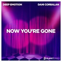 Deep Emotion feat Dani Corbalan - Now You Are Gone