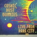 Cosmic Dust Bunnies - Stabby Vibe