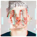 Herzog feat Dr Surabi - Herzurabi