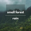 Environment Spirit - Small Forest Rain 1