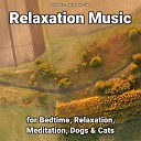 Calm Music Relaxing Music Yoga - Spiritual Evolution