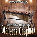 Marimba Orquesta Maderas Chapinas - Avenida Bolivar