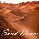 Wali Johnson - Sand Dunes