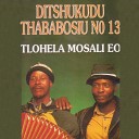 Ditshukudu - Ke Tshaba Mathata