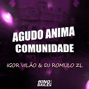 Igor VIl o DJ Romulo ZL - Agudo Anima Comunidade