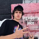dio nkn - Lingonberry Juice