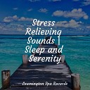 Guided Meditation Music Zone Sleep Songs 101 Massage… - Calmness