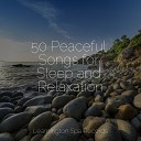 The Relaxing Sounds of Water Yoga Workout Music… - Soothing Soul