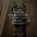 Official Pet Care Collection Music for Relaxing Cats Cat… - Serenity Waves