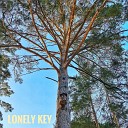 Lonely Key - Life of the Bird Piano Cover