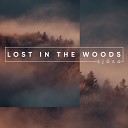 Sj sa - Lost In The Woods