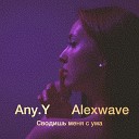 Any Y Alexwave - Сводишь меня с ума