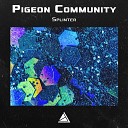 Pigeon Community - Splinter