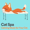 Cat Music Therapy - Cat Spa Calming Music for Your Cat Pt 13