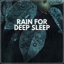 Rain for Deep Sleep - Fall Rain Pt 8