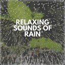Rain for Deep Sleep - Fall Rain Pt 16
