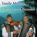 Vasile Mucea - Dragu mi i la veselie