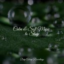 Deep Sleep Music Delta Binaural 432 Hz Musique Zen Garden Pet Care Music… - Beautiful Dreams