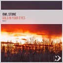 Owl Stone - Gold in Your Eyes Original Mix