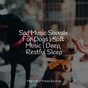 Music for Dog s Ears Relaxing Music for Dogs Music For… - Stress Free Sounds