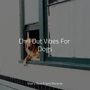 Music for Pets Library Music for Leaving Dogs Home Alone Music for Dog s… - Unwind