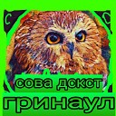 сова дскст - Опыт