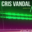 Cris Vandal - Дюжина строк
