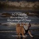 Relaxation Music For Dogs Jazz Music Therapy for Dogs… - Soothing Winds