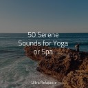 Serenity Spa Music Relaxation Natureza Musica Bem Estar Academia Meditative Music… - Soothing Sea Sounds