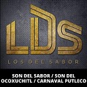 Los Del Sabor LDS - Son del Sabor Son del Ocoxuchitl Carnaval…