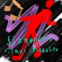 Timur Arnautov - Flamenko 1