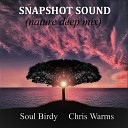 Soul Birdy Chris Warms - Snapshot Sound Nature Deep Mix