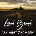 Liquid Bread - Say What You Mean