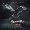 Виктор Каменский - Птица одинокая