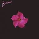Bummers - Sweet Sixteen